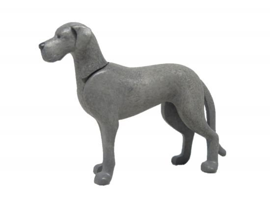 Hund Dogge Hund Dogge