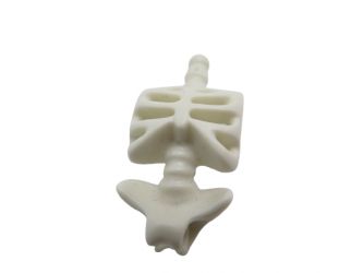 Rumpf Skelett Rumpf Skelett