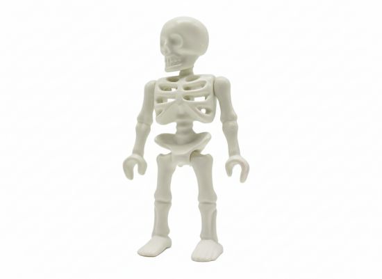 Skelett komplett Skelett komplett