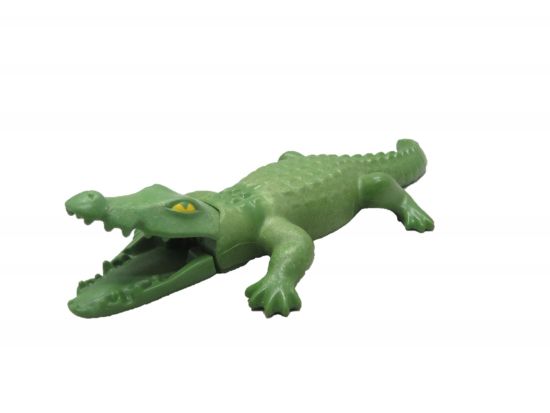 Alligator Krokodil Alligator Krokodil
