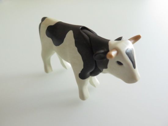 Ochse, Bulle Ochse, Bulle