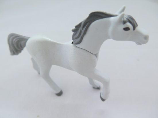 Pferd Araber Pferd Araber