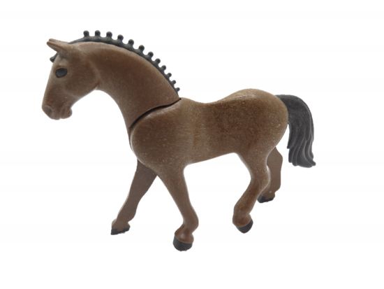 Pferd Rennpferd Pferd Rennpferd