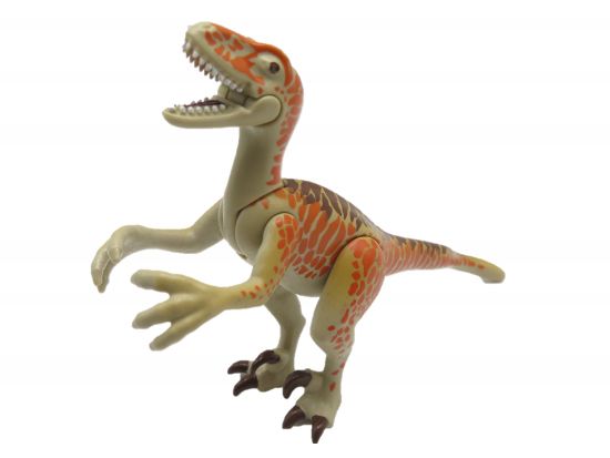 Dinosaurier Raptor Deinonychus Dinosaurier Raptor Deinonychus