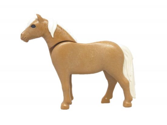 Pferd Pony Pferd Pony