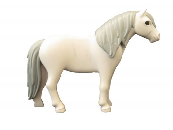 Pferd Pony Pferd Pony