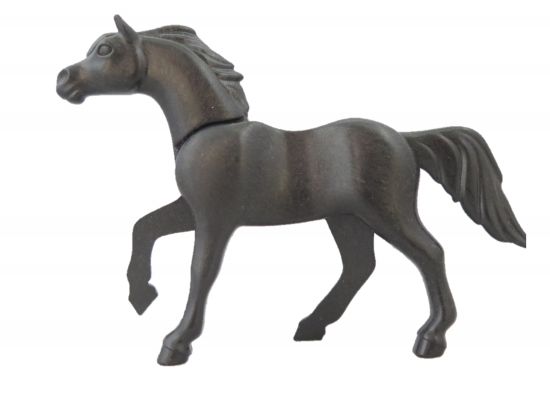 Pferd Araber Pferd Araber