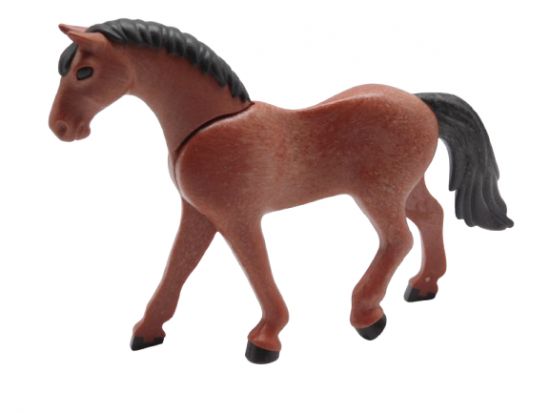 Pferd Trakehner Pferd Trakehner