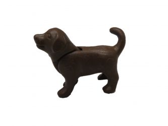 Hund Welpe Hund Welpe