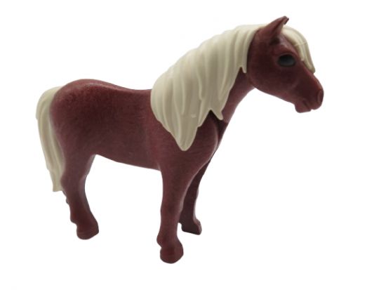 Pferd Pony Pferd Pony