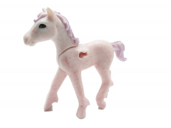 Pegasus Fohlen Pegasus Fohlen