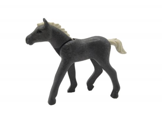 Fohlen Pferd Fohlen Pferd