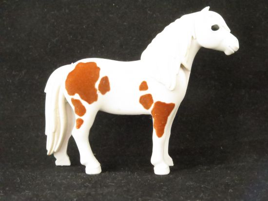 Pferd Pony Pferd Pony