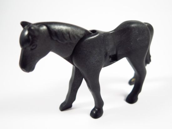 Pferd Pferd