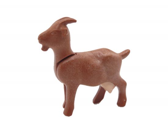 Ziege braun Ziege braun