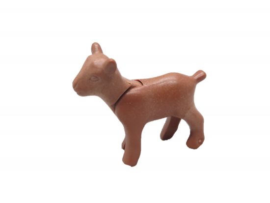 Ziegen Junges Ziegen Junges