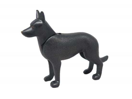 Hund Schäferhund Hund Schäferhund