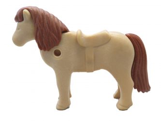 Pony Shetland Pony Shetland