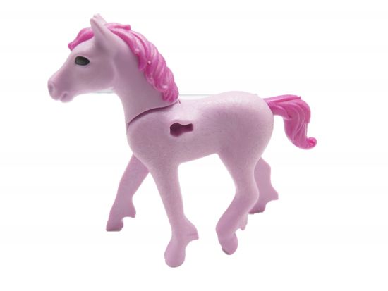 Pegasus Pferd Fohlen Pegasus Pferd Fohlen