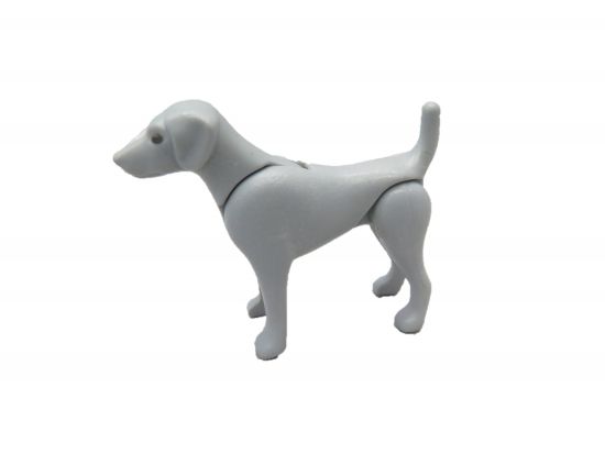 Hund Pudel Hund Pudel