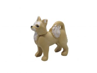 Hund Chihuahua Hund Chihuahua