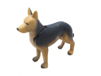 Schäferhund Schäferhund