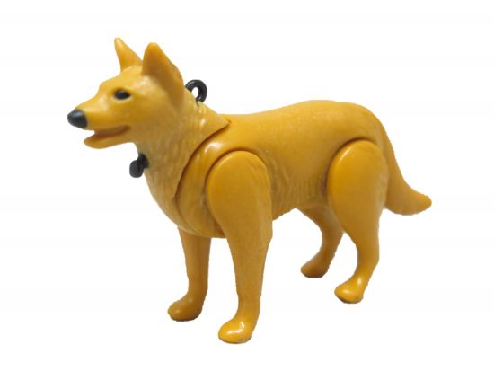 Hund Schäferhund Hund Schäferhund