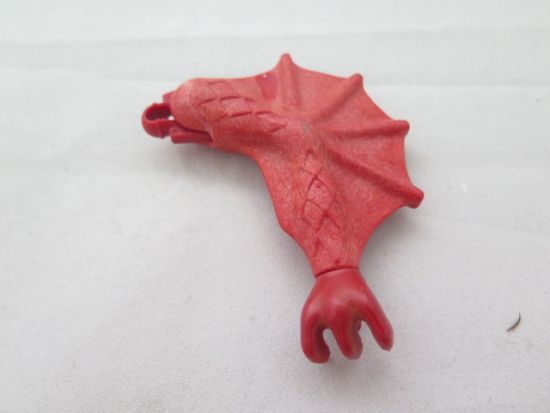 Drachenflügel Drachenflügel