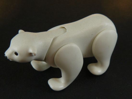 Eisbär Eisbär