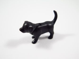 Hundewelpe Hundewelpe