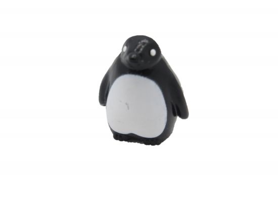 Pinguin Junges Kind Pinguin Junges Kind