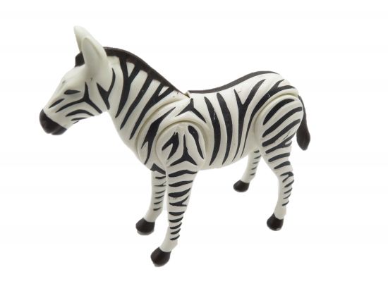 Zebra Zebra