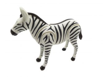 Zebra Zebra