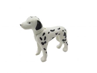 Hund Dalmatiner Hund Dalmatiner
