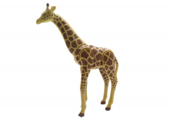 Giraffe Giraffe