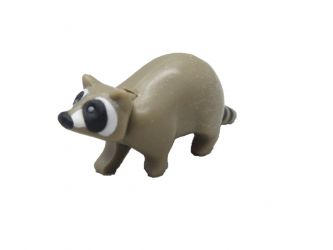 Waschbär Waschbär