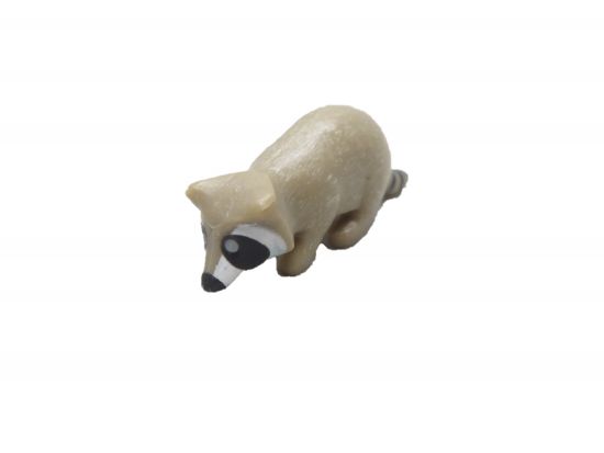 Waschbär Waschbär