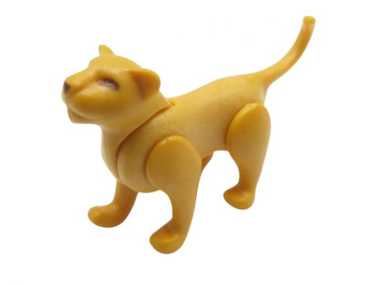 Löwenbaby Löwenbaby