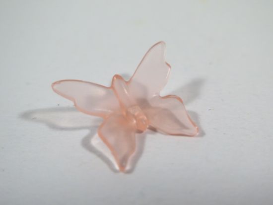 Schmetterling Schmetterling