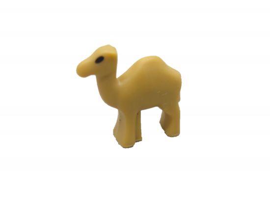 Kamel Dromedar Mikrowelt Kamel Dromedar Mikrowelt