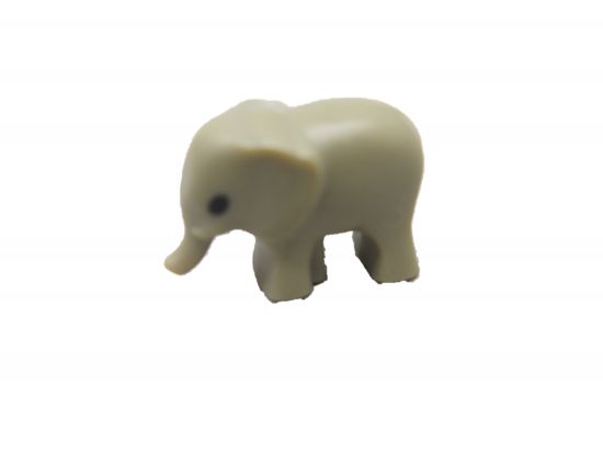 Elefant Mikrowelt Elefant Mikrowelt