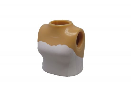 Oberkörper Frau Oberkörper Frau