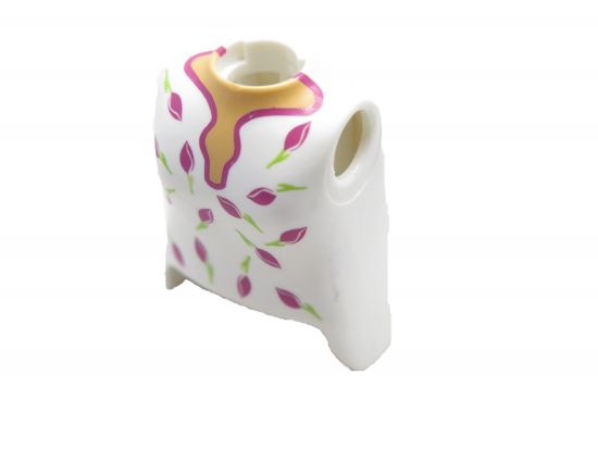 Oberkörper Frau Oberkörper Frau