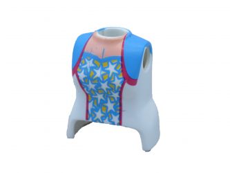 Oberkörper Frau Oberkörper Frau